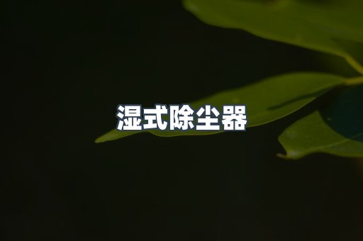 湿式除尘器
